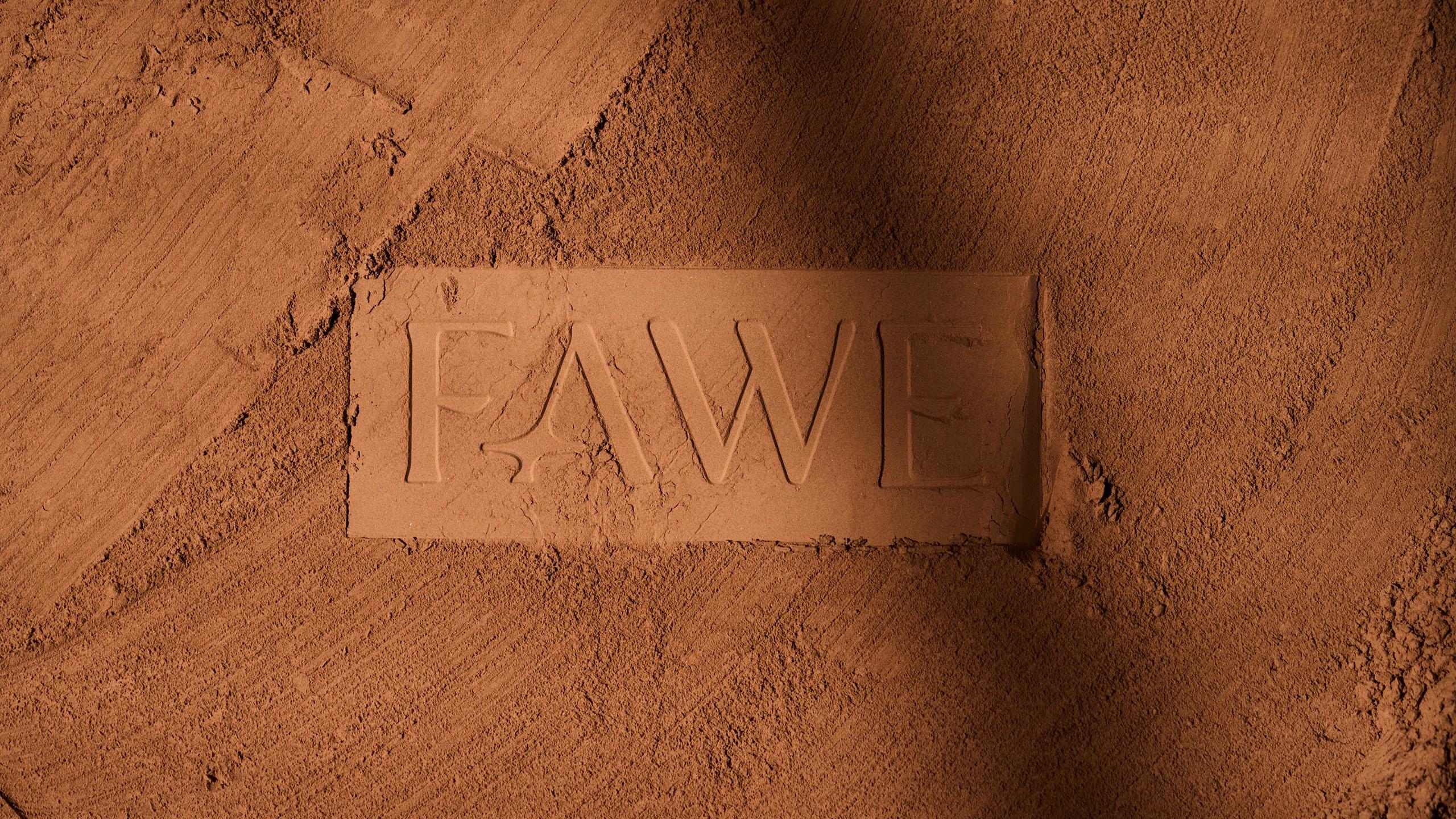 FAWE: Serena Studio's Packaging and Identity for a Cosmetics Brand
