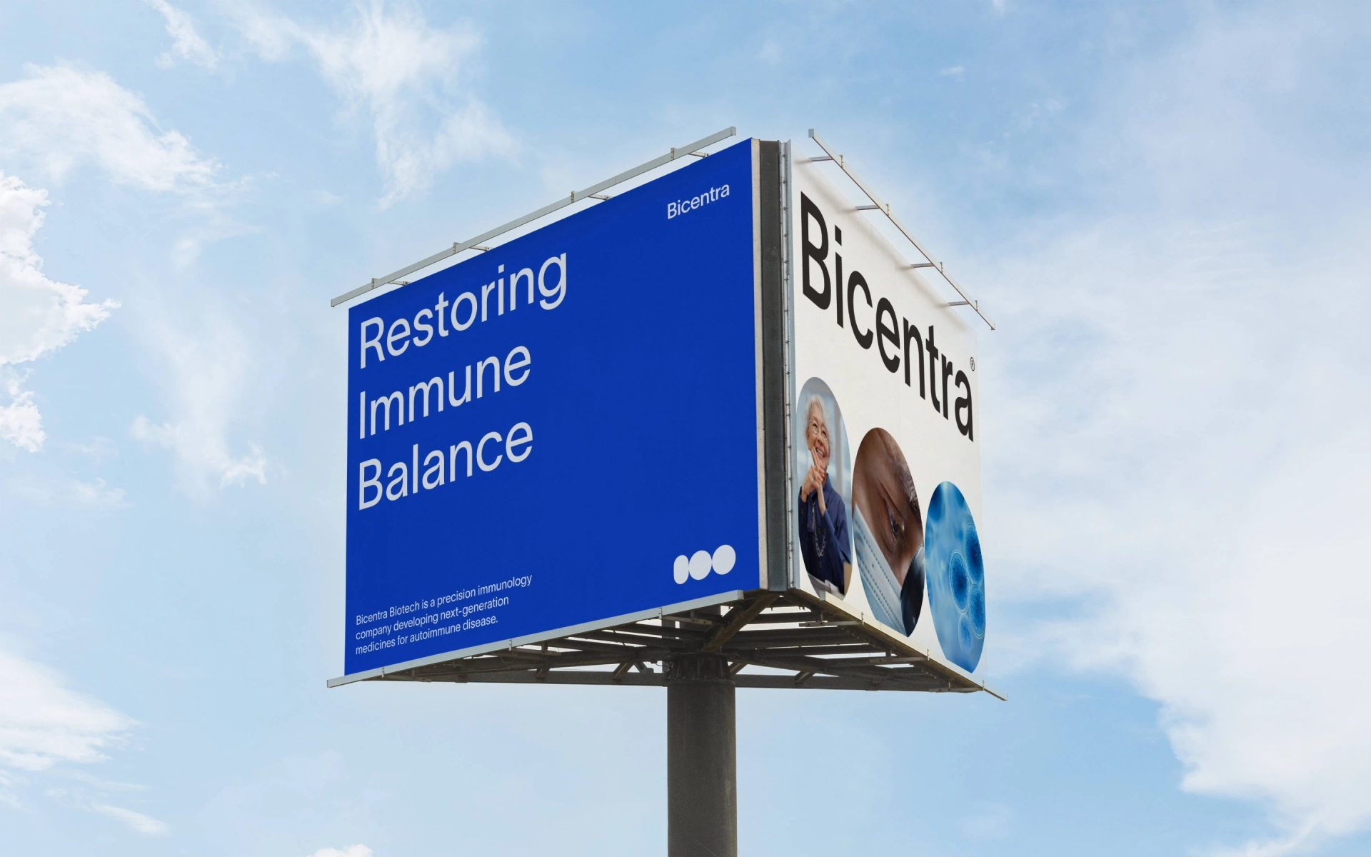 Bicentra Biotech - Brand Identity — Alexander Korzin, image 10