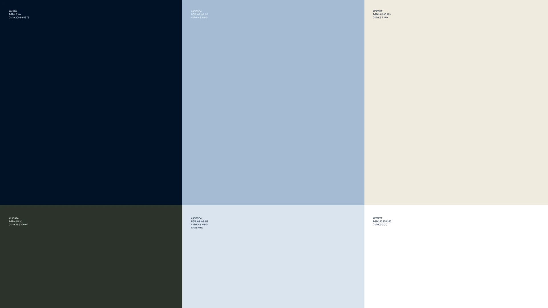 Brand colour palette arranged in six blocks of navy, blue, cream, dark green, pale blue and white, each labelled with colour codes.
