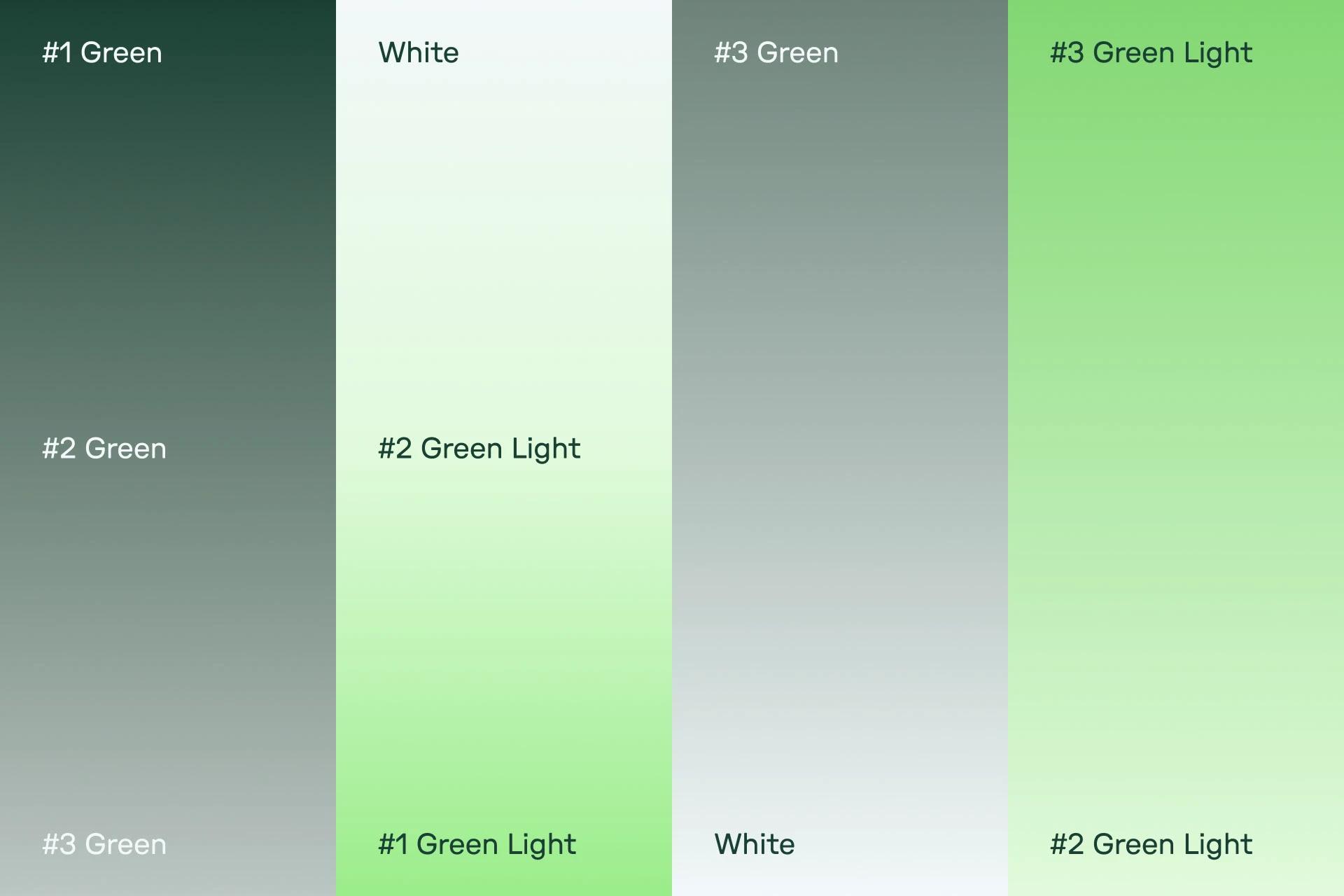 Ecologic Brands — Toormix Design Agency, image 3