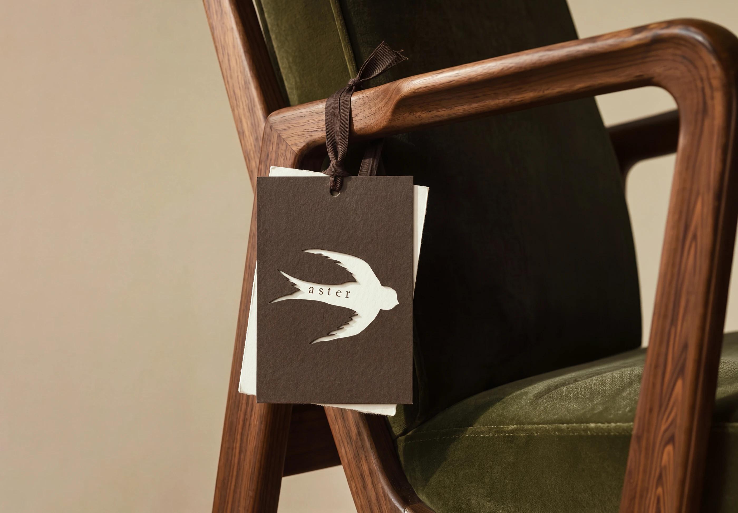 ASTER | Branding, Packaging & Website — Bashynska Design