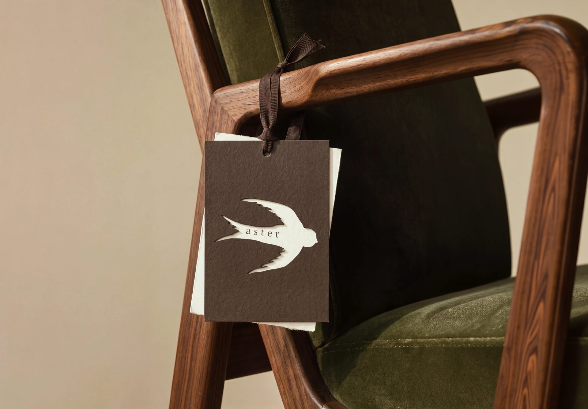 ASTER | Branding, Packaging & Website — Bashynska Design, image 1