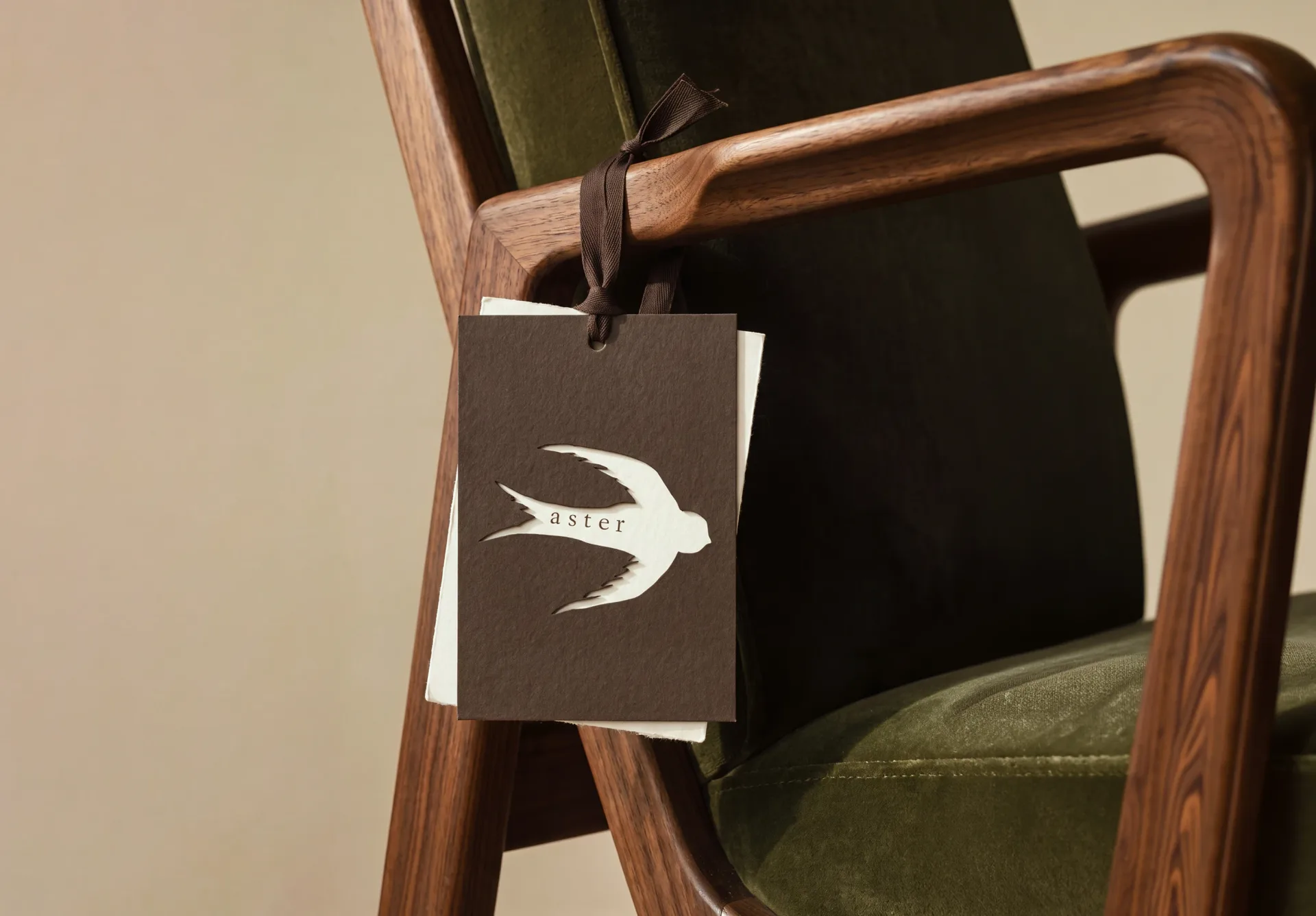 ASTER | Branding, Packaging & Website — Bashynska Design