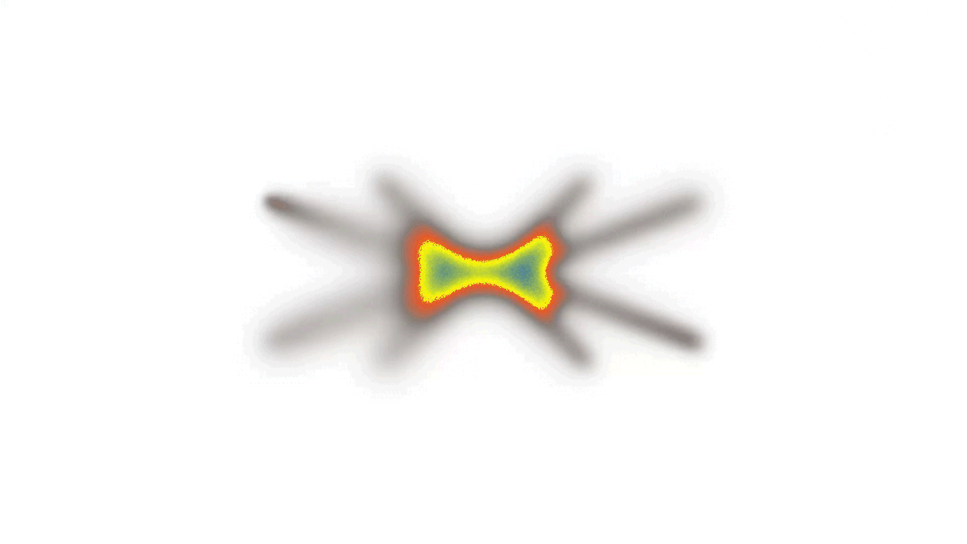 Way Lab — Caio César, image 24