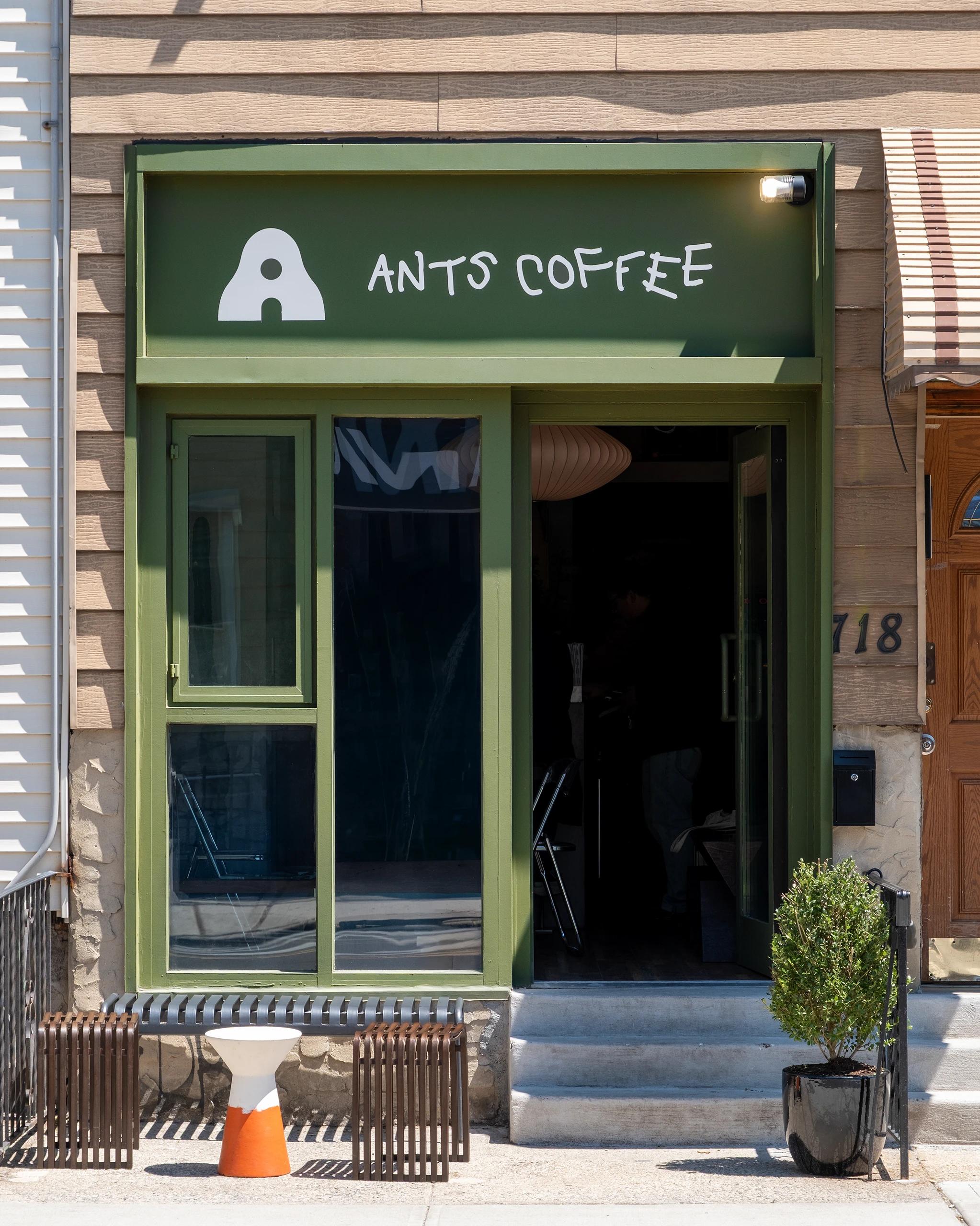 Ants — Tuman Studio
