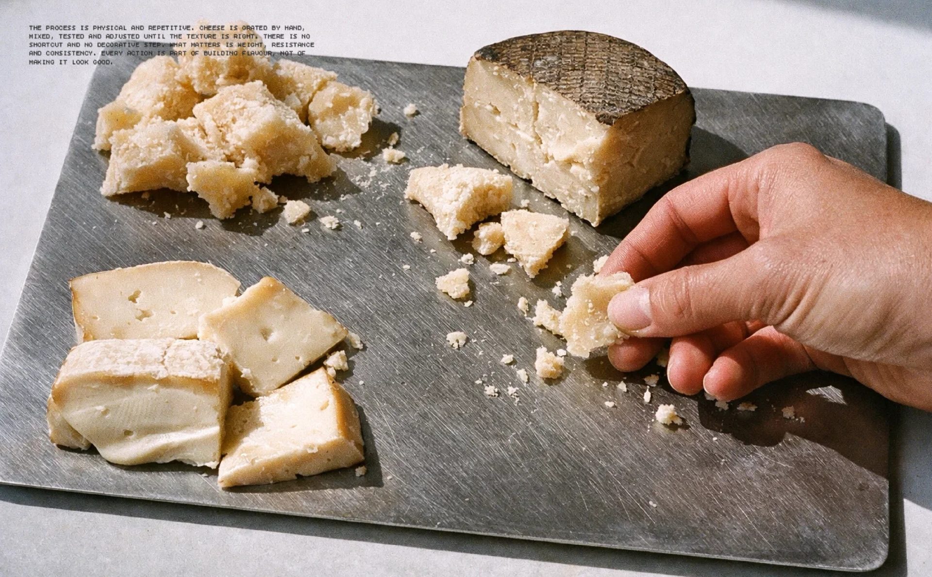 Tons of Cheese - Italian Restaurant — Sara Bautista Studio, image 9