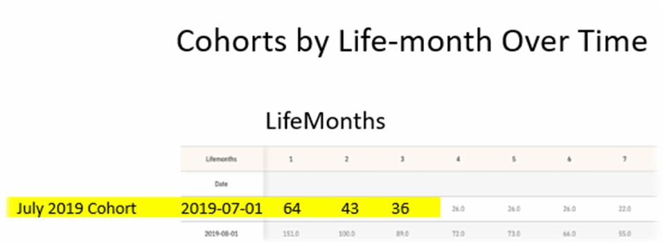 Example cohort