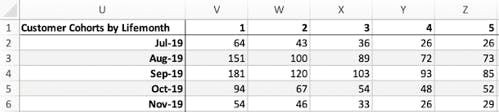 Table: Customer cohorts by lifemonth
