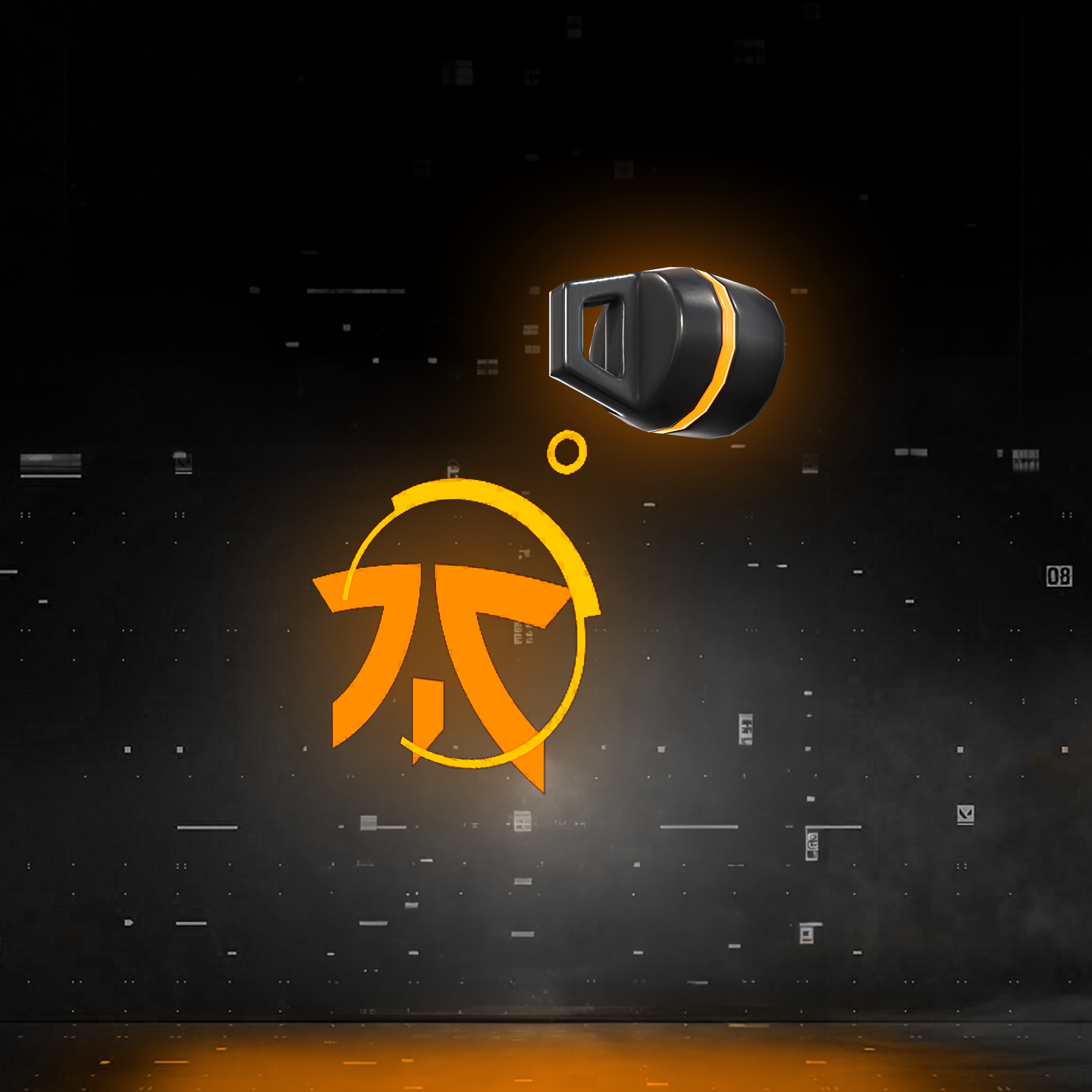 VCT In-game Bundle - Fnatic
