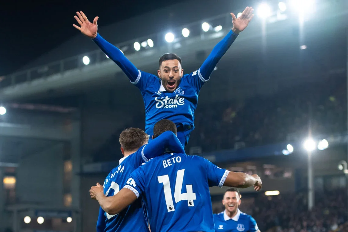 Everton 3-0 Newcastle: Toffees put three past visitors to move out of relegation zone