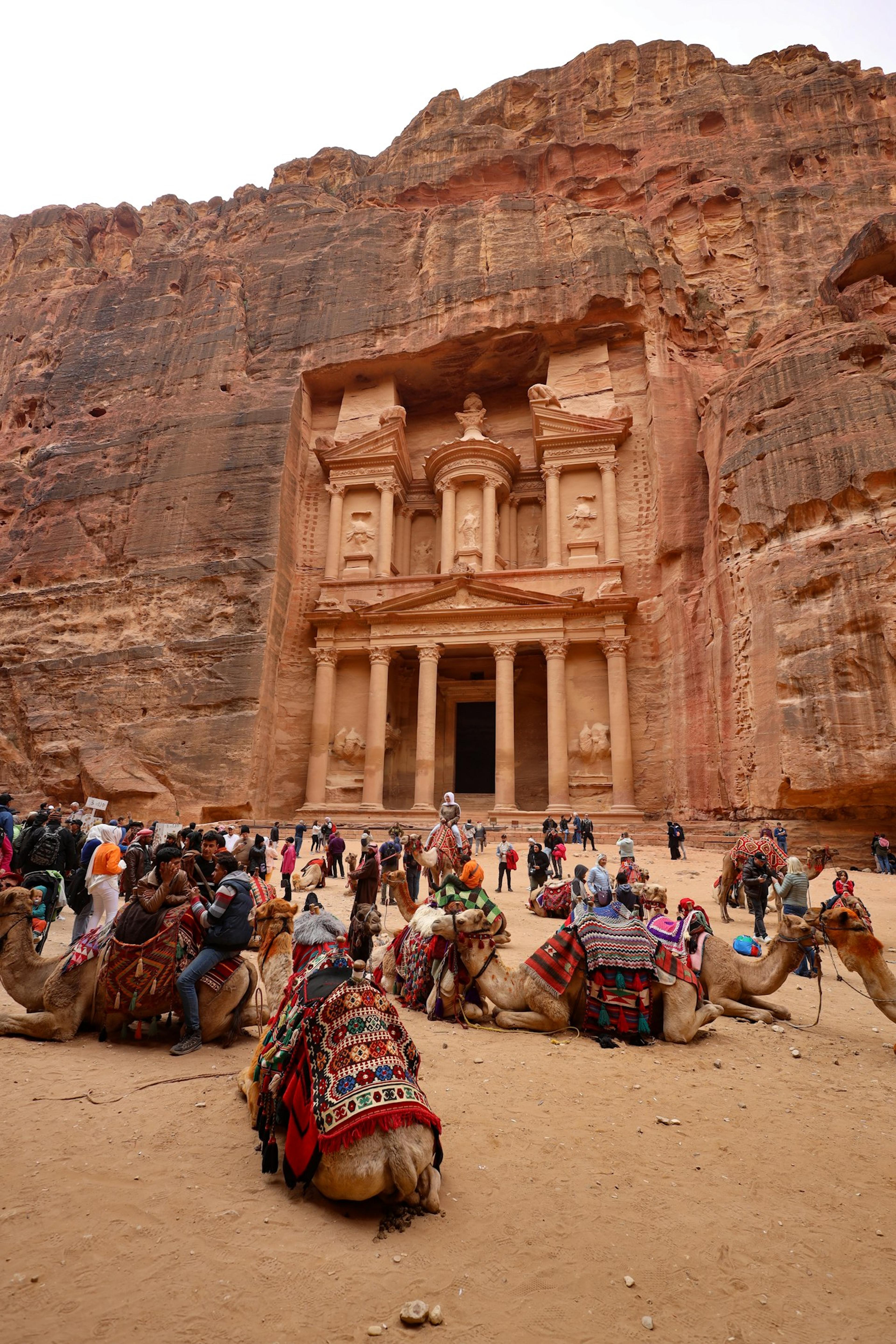 Unta beristirahat di depan Al-Khazneh, Petra
