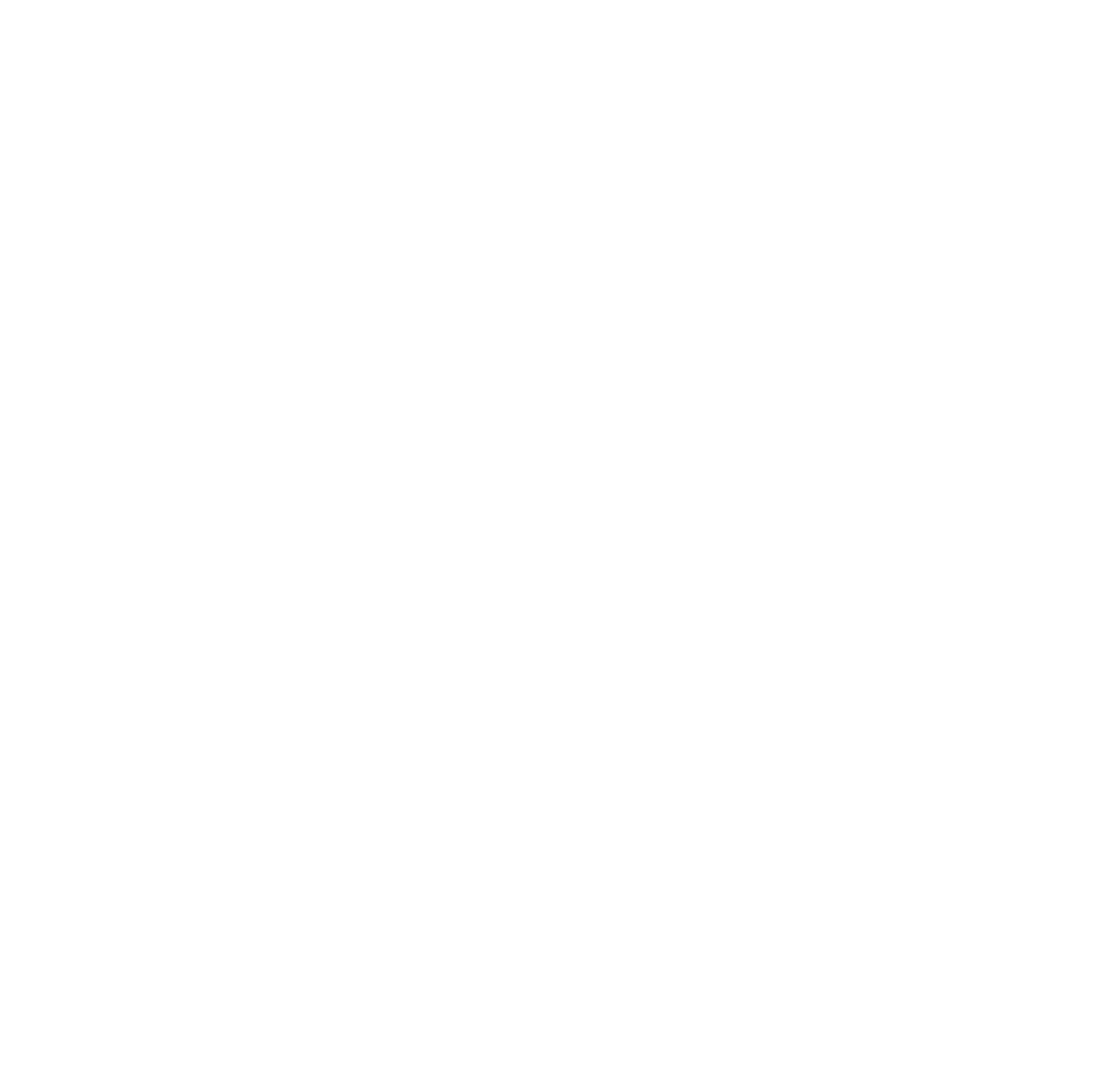 Active Ants