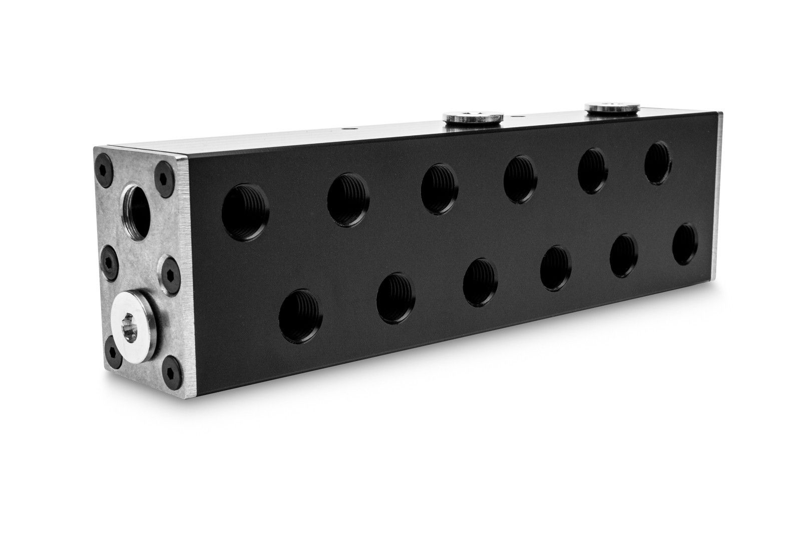 EK-Pro Manifold 2CPU 8GPU