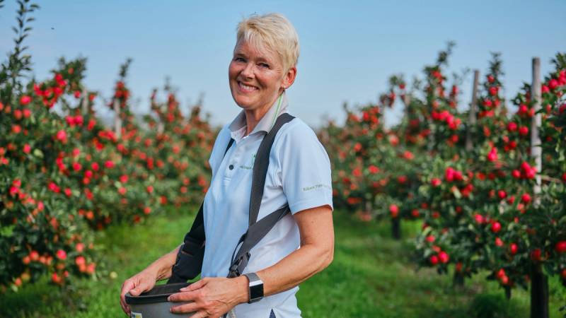 Smilende dame i en eplehage