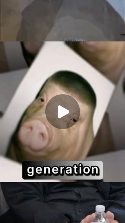 Joey’s Internship and The Purpose & Responsibility of Generation Z