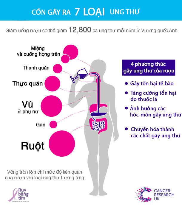 Infographic rượu gây nguy cơ 7 loại ung thư