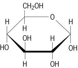 Cấu trúc phân tử đường glucose