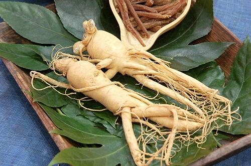 Hai củ nhân sâm trên khay gỗ