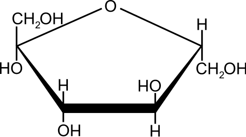 Cấu trúc phân tử đường fructose