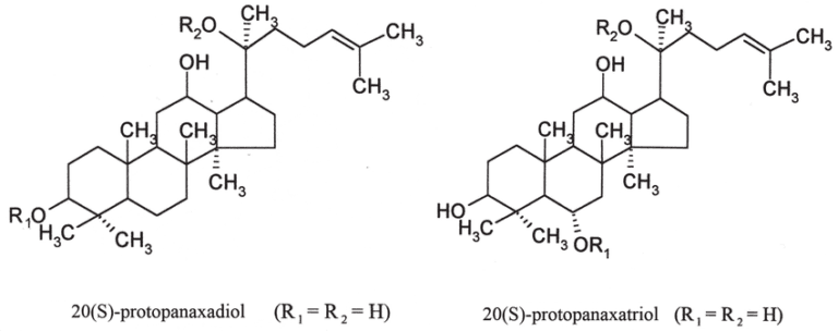 Cấu trúc của protopanaxadiol và protopanaxatriol