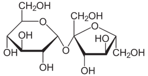 Cấu trúc phân tử đường sucrose