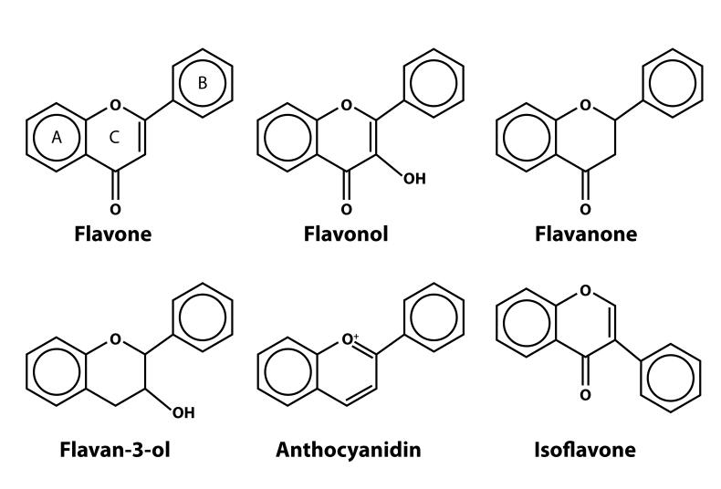 Hình 1. Cấu trúc hóa học của các phân lớp chính của flavonoid