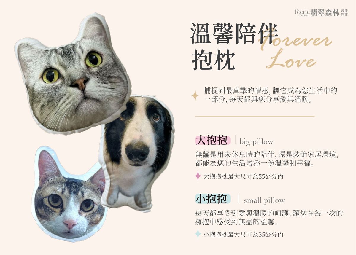 溫馨陪伴抱枕