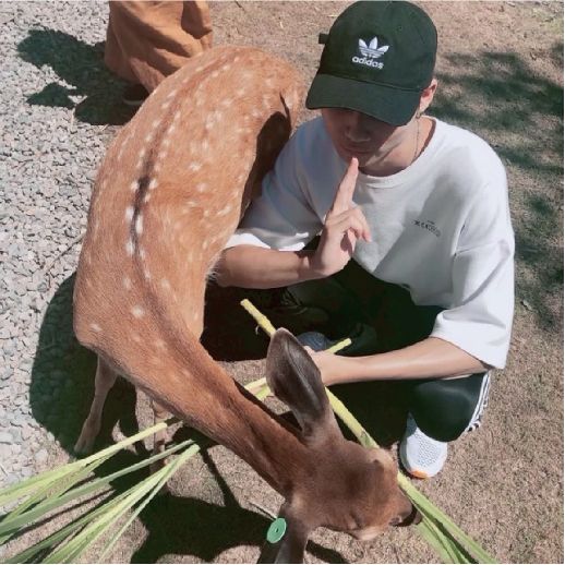 朱柏翰