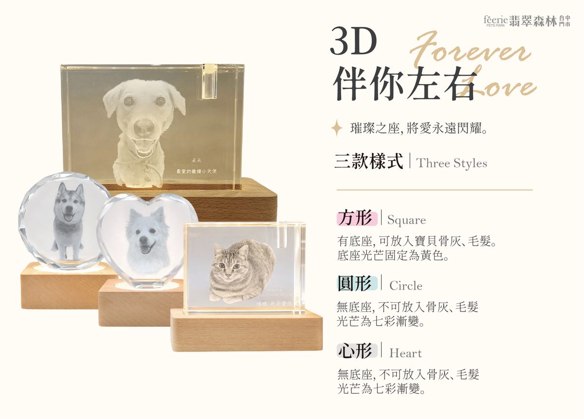 3D 伴你左右