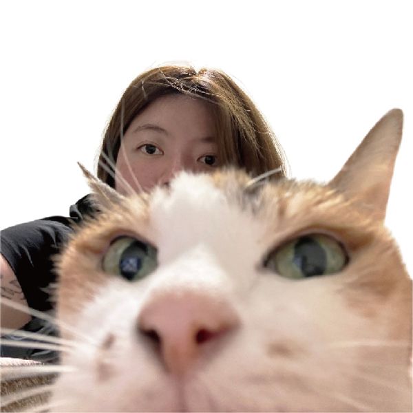 王儷蓉