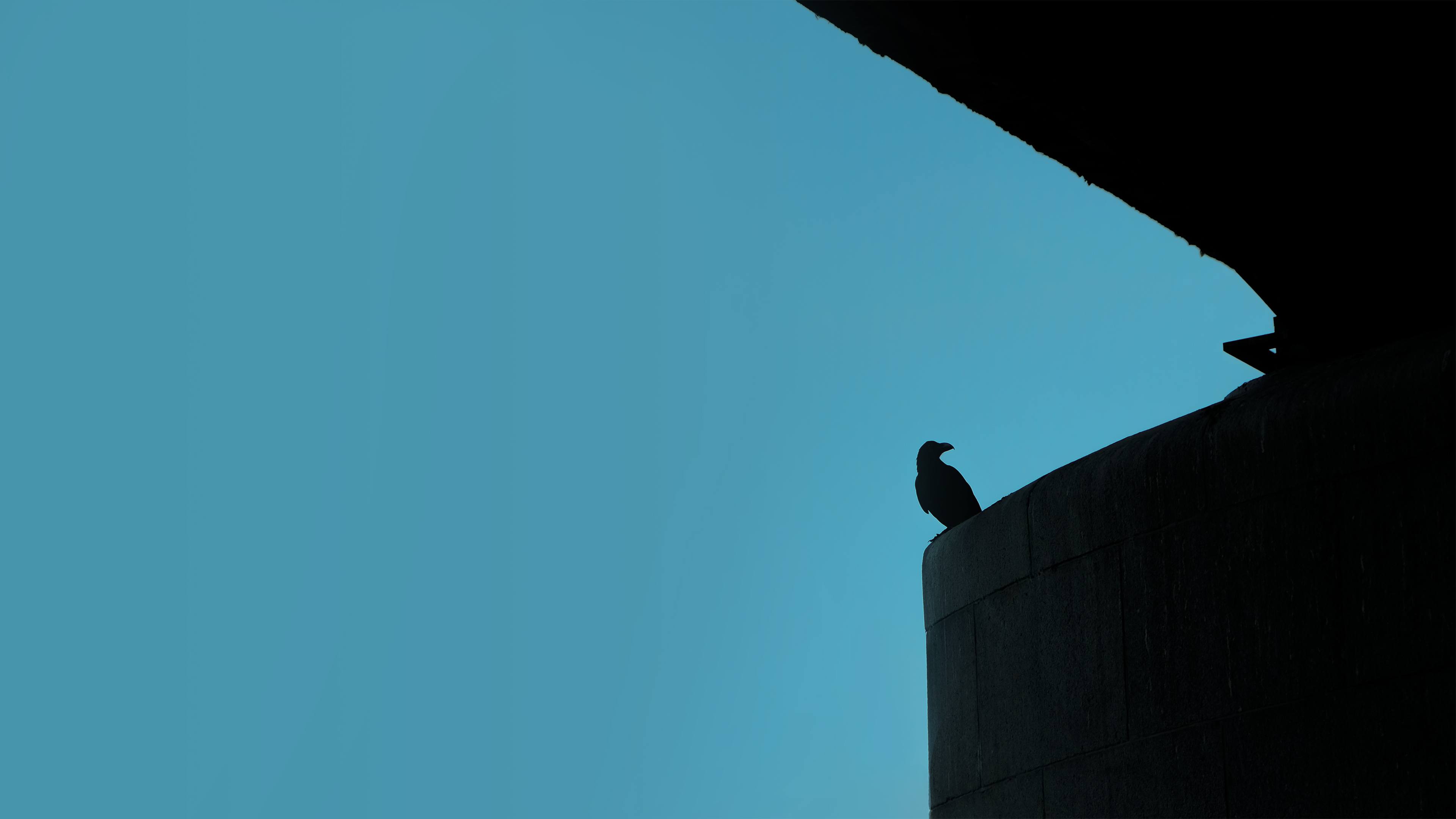 text5 image 5