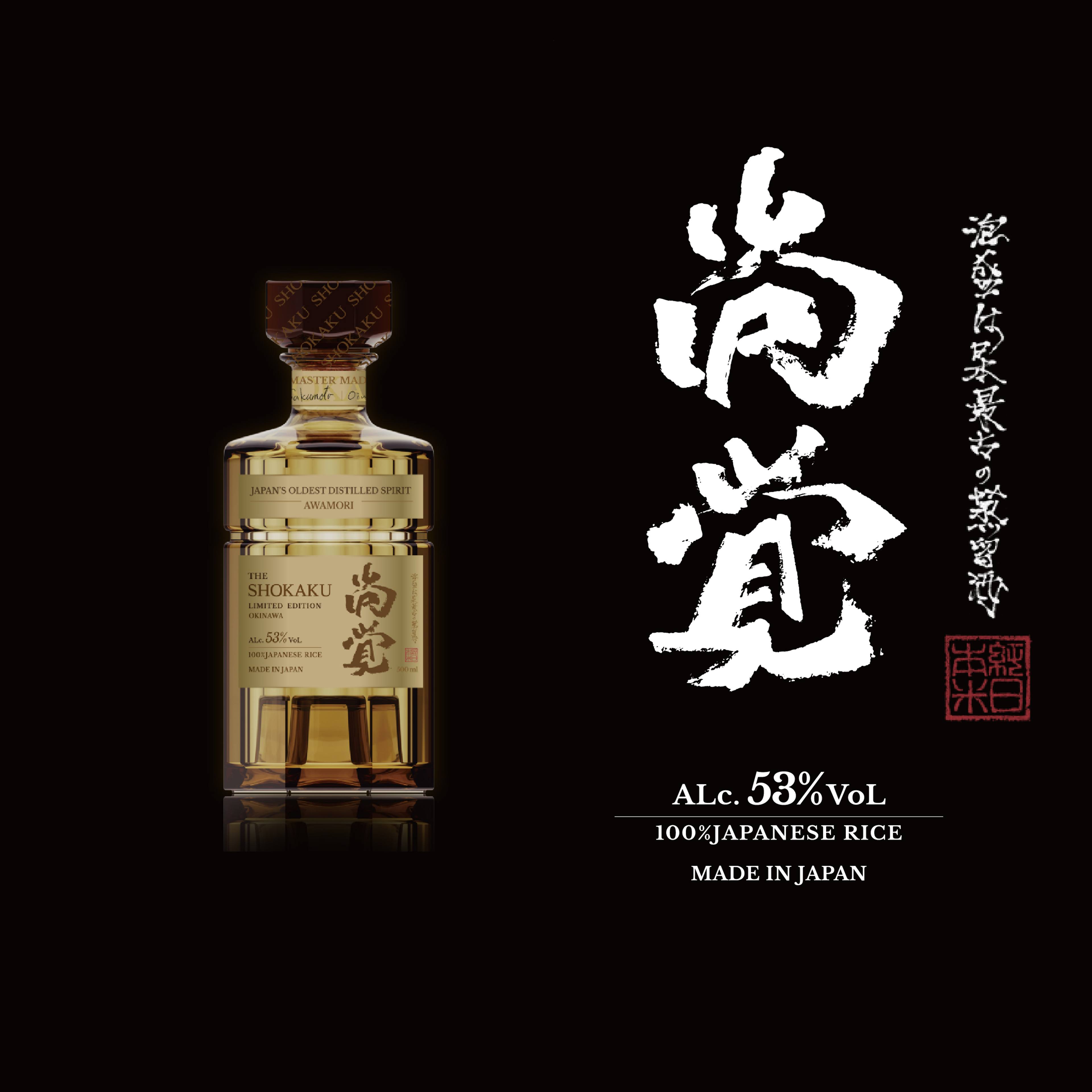 text13 cover