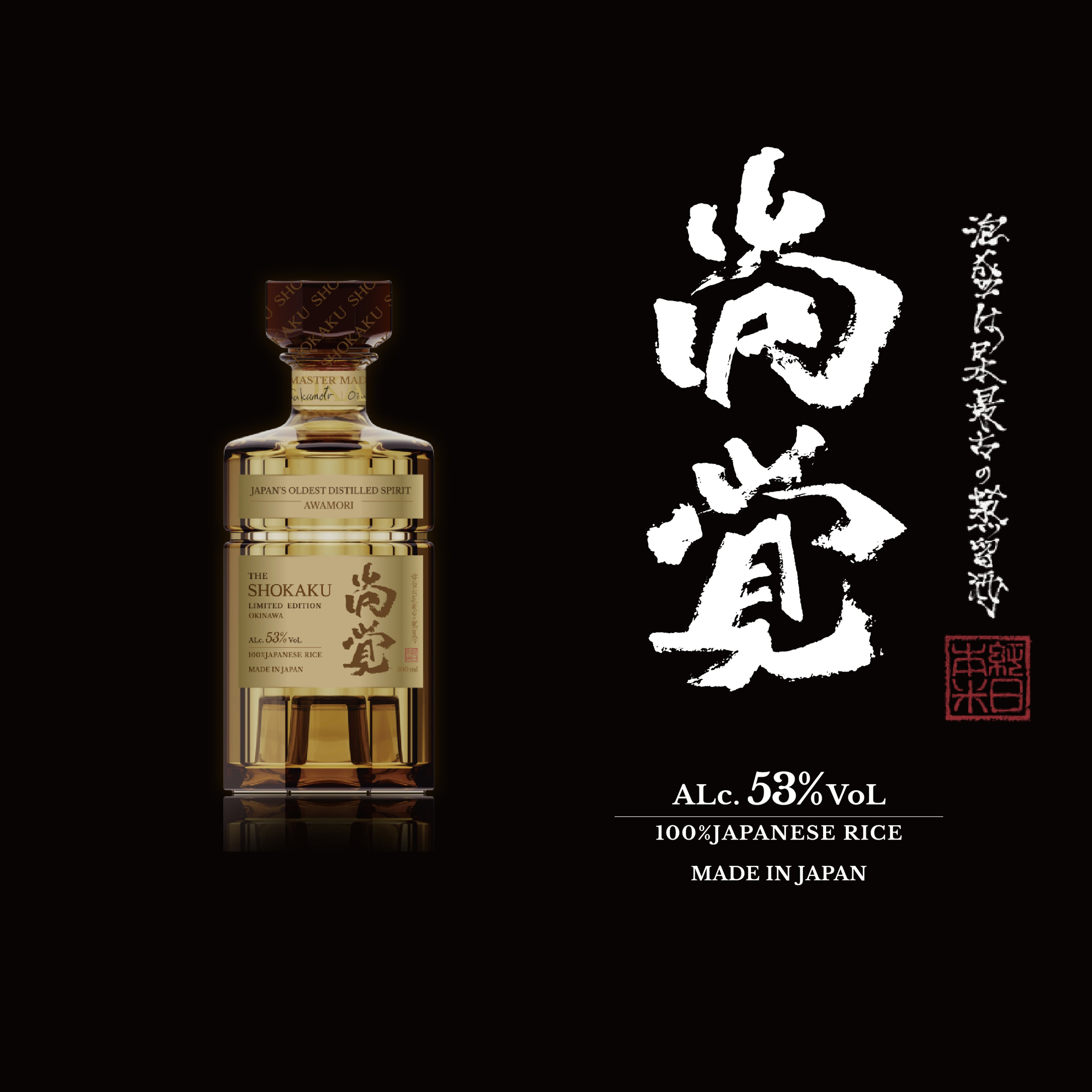 text13 cover