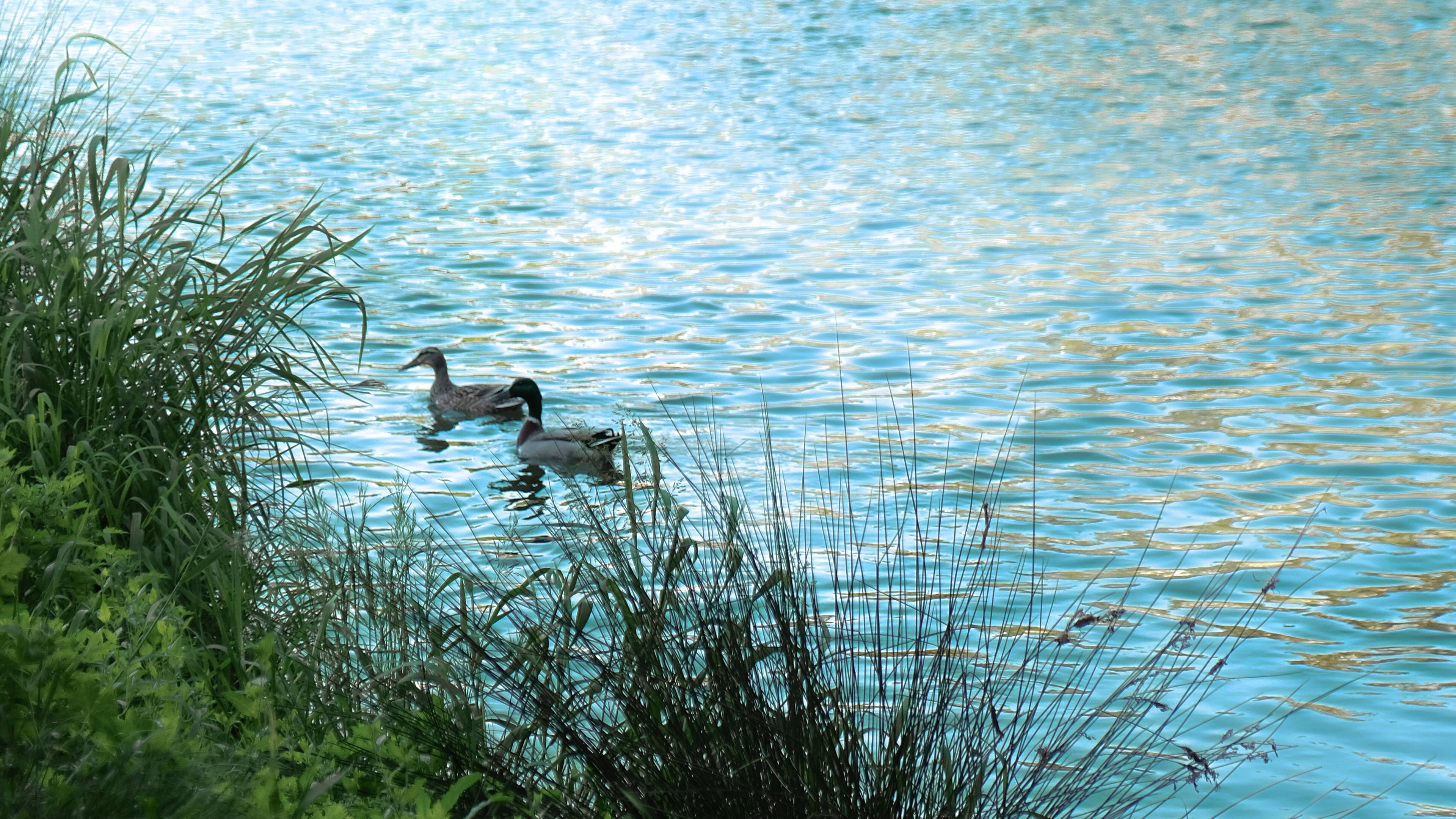 Personal Photography image 5