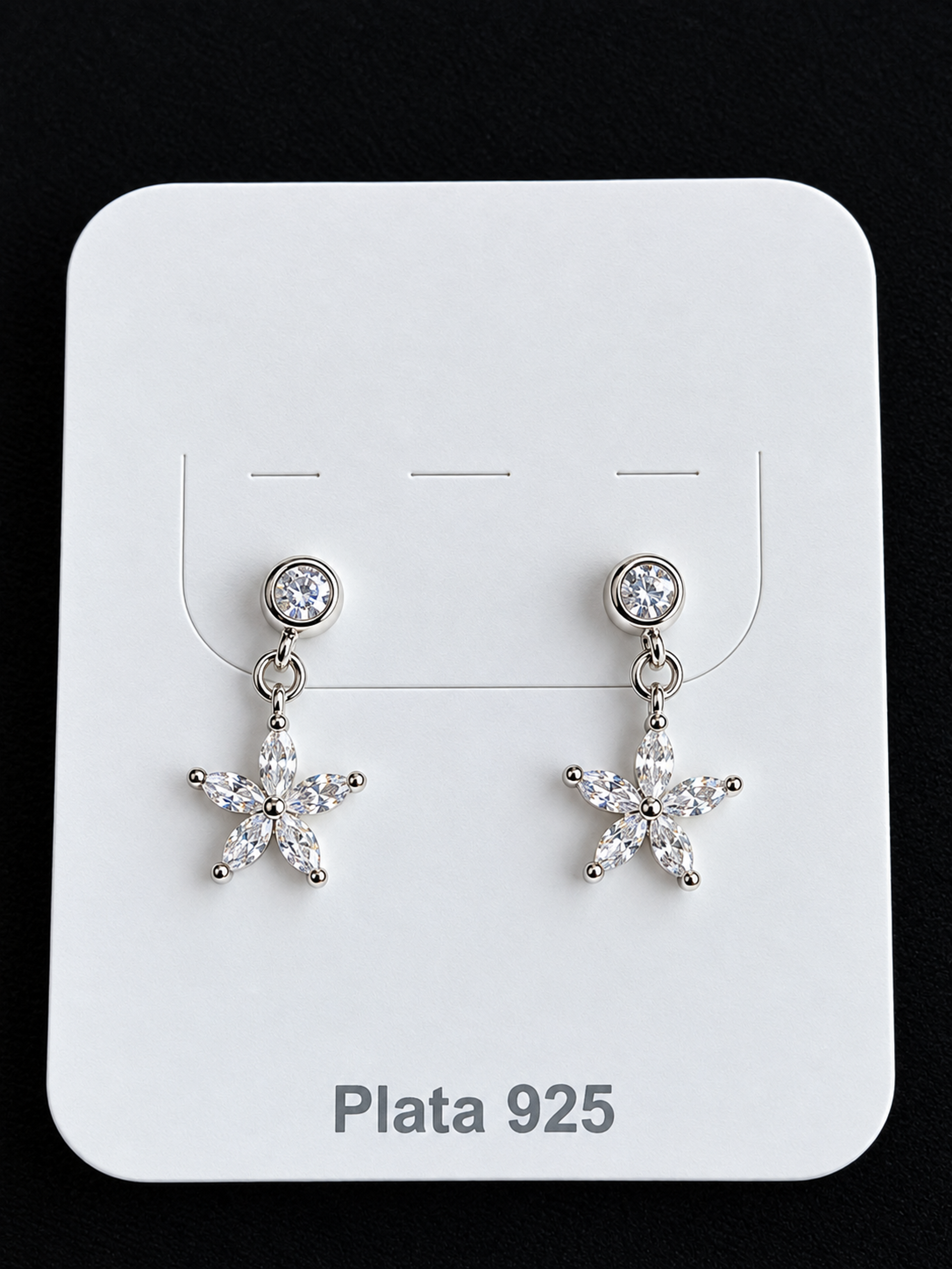 Arete de plata 9286