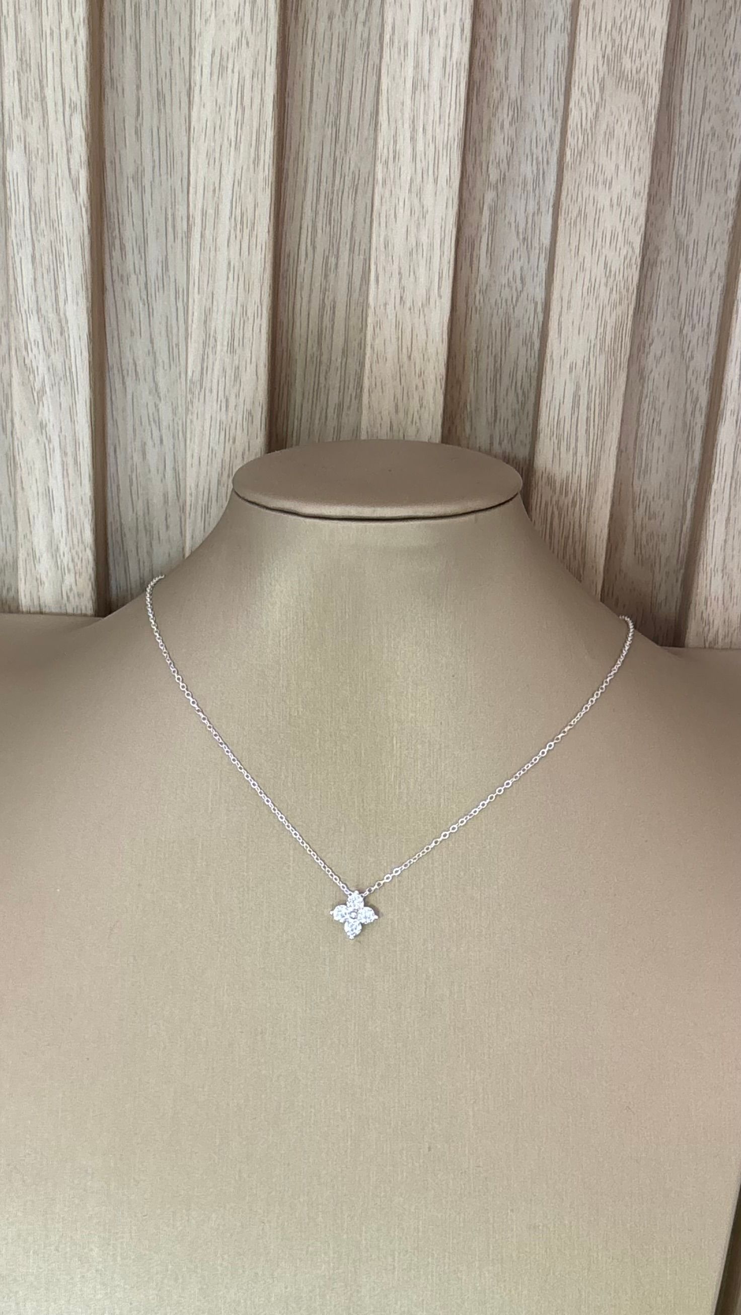 Cadena de plata 7831