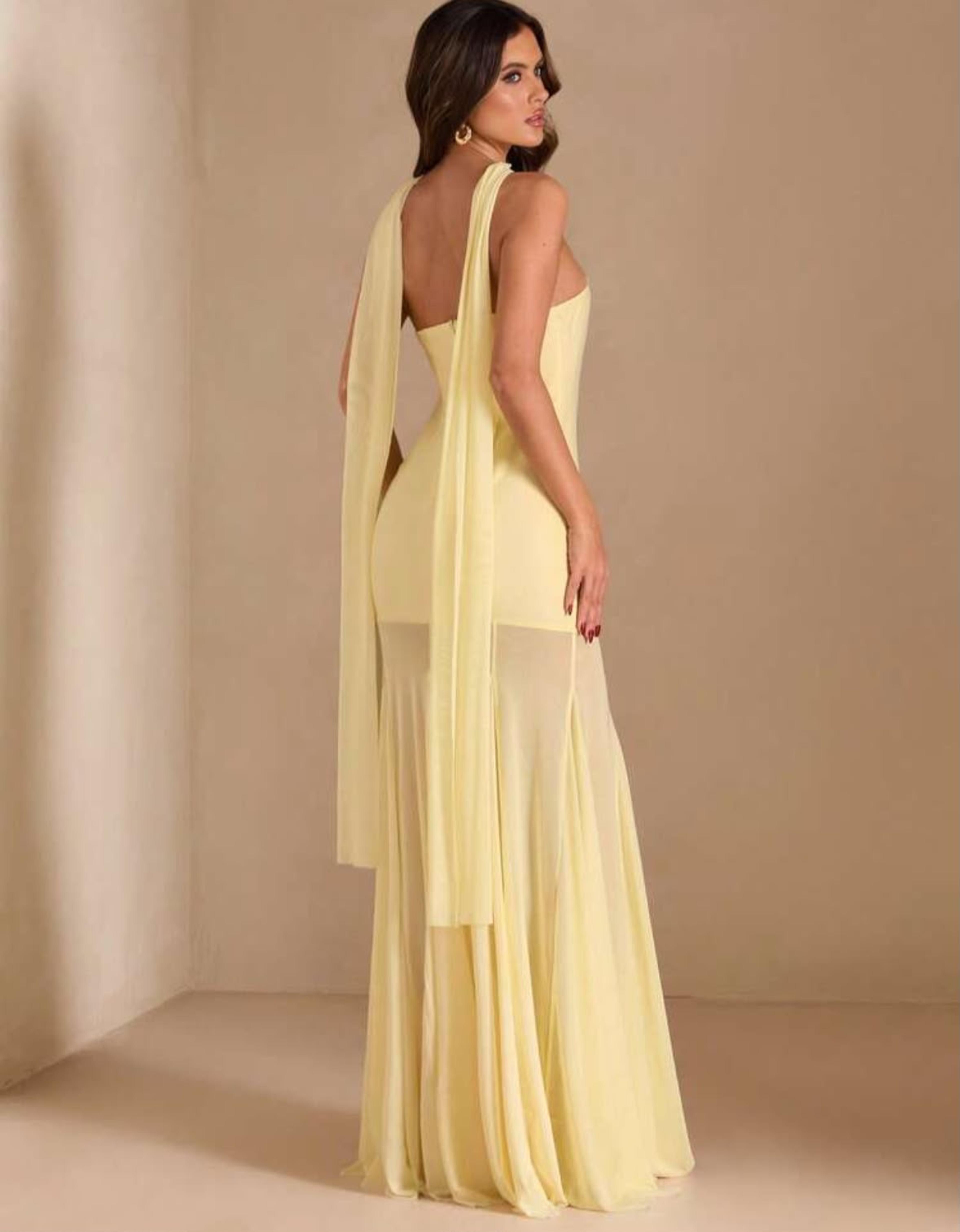 Slim fit dress with transparent fabric detail view 2