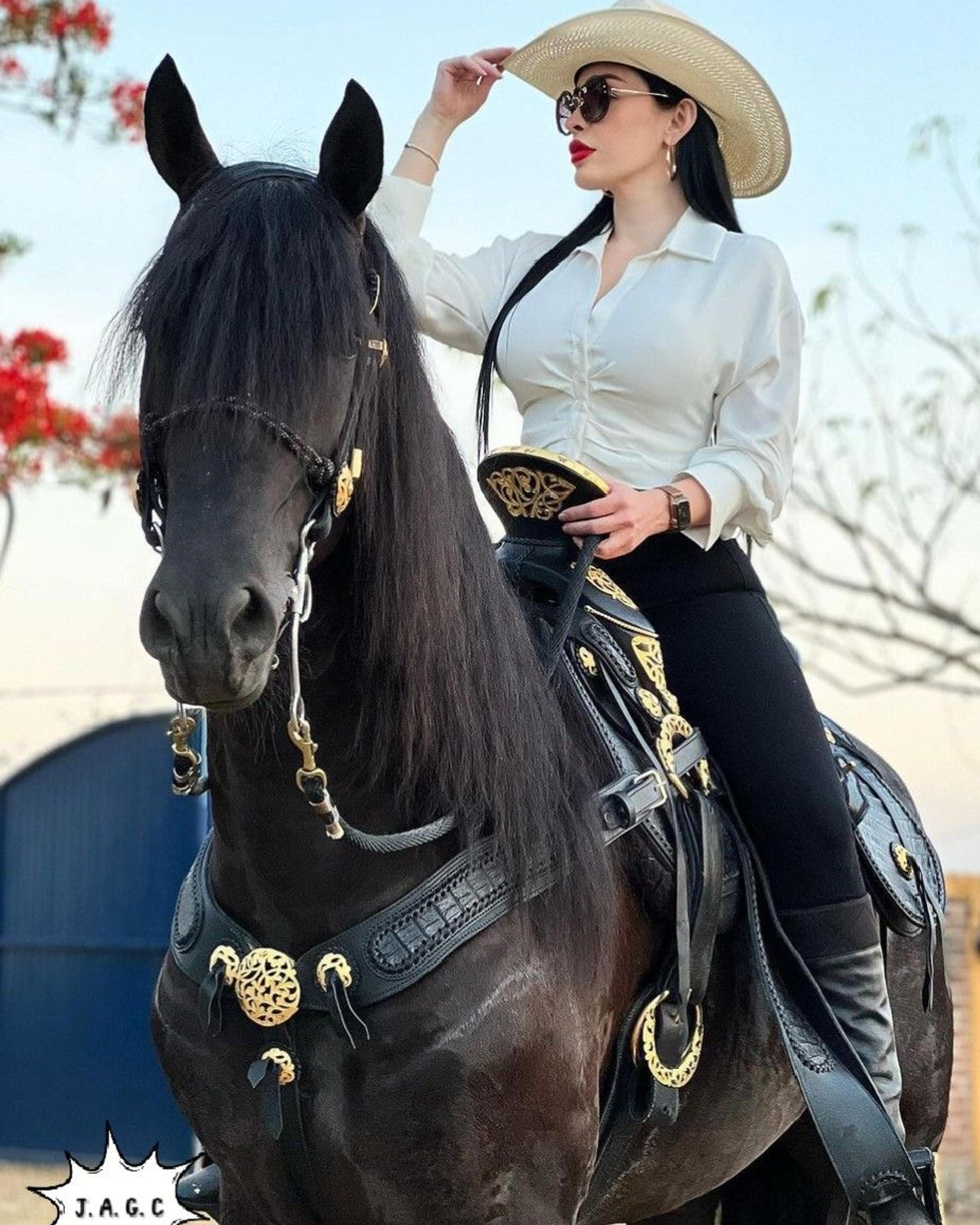 Looks para hípicos 🐎