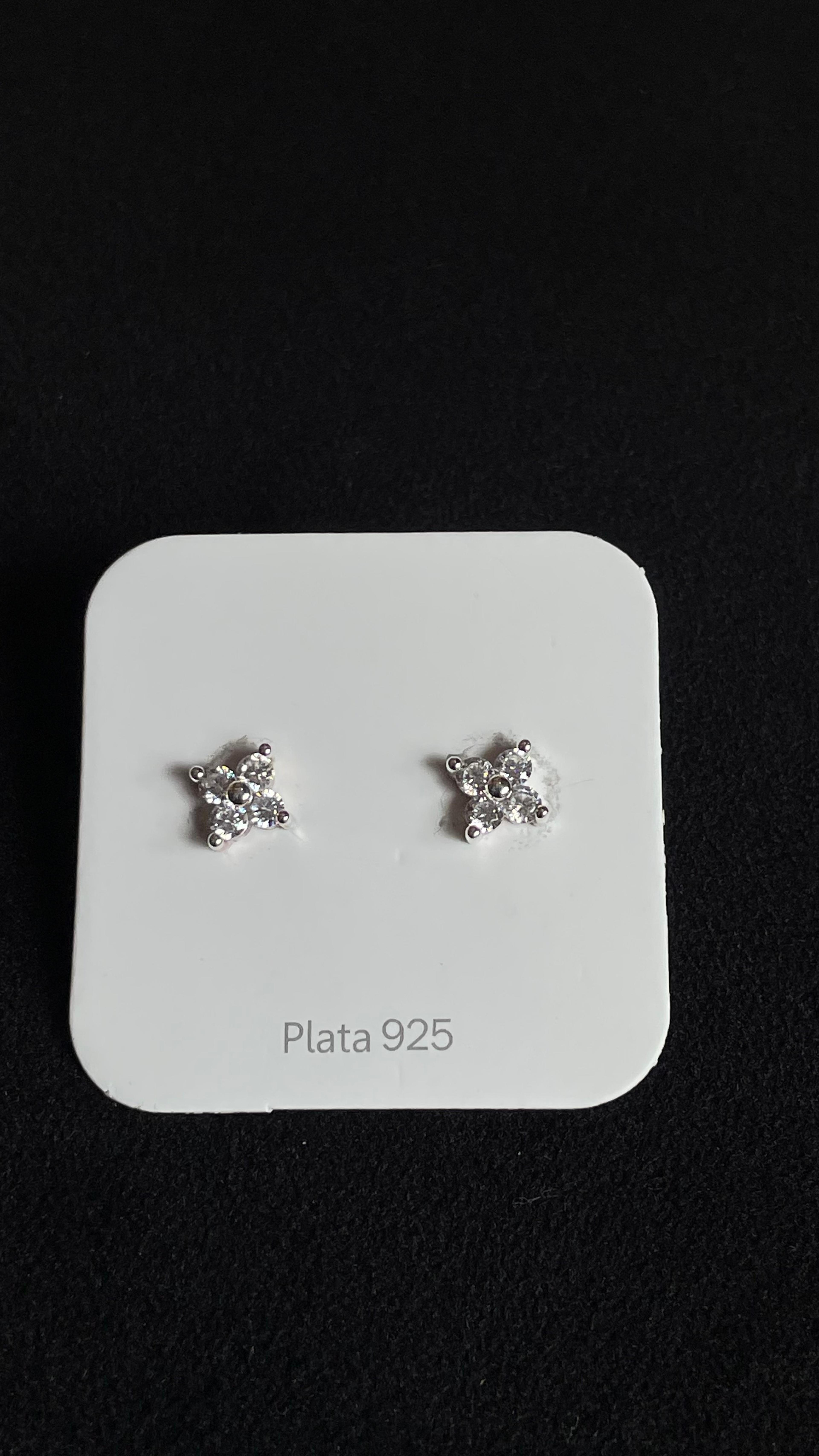 Silver Earring 9176