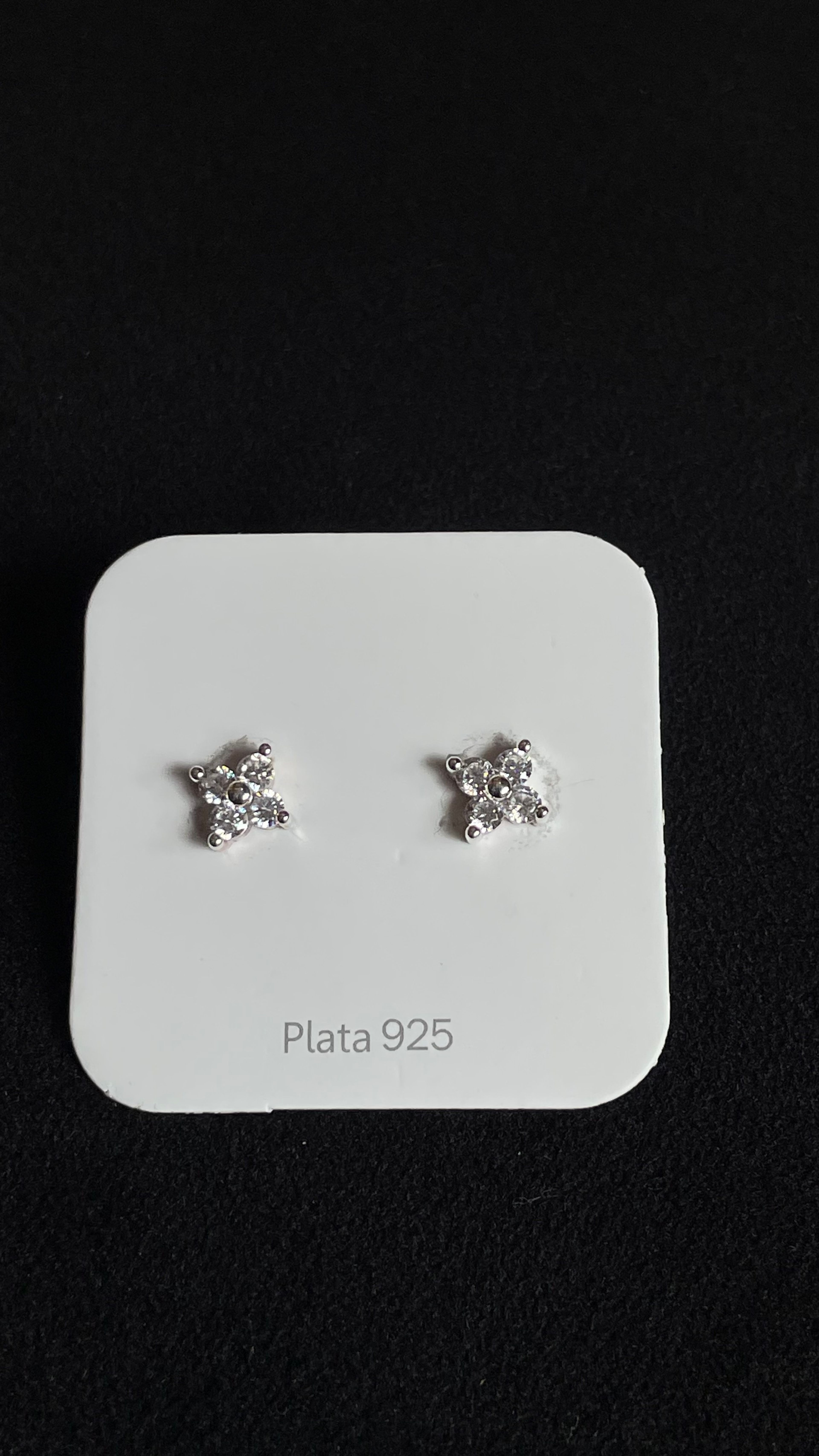 Silver Earring 9176