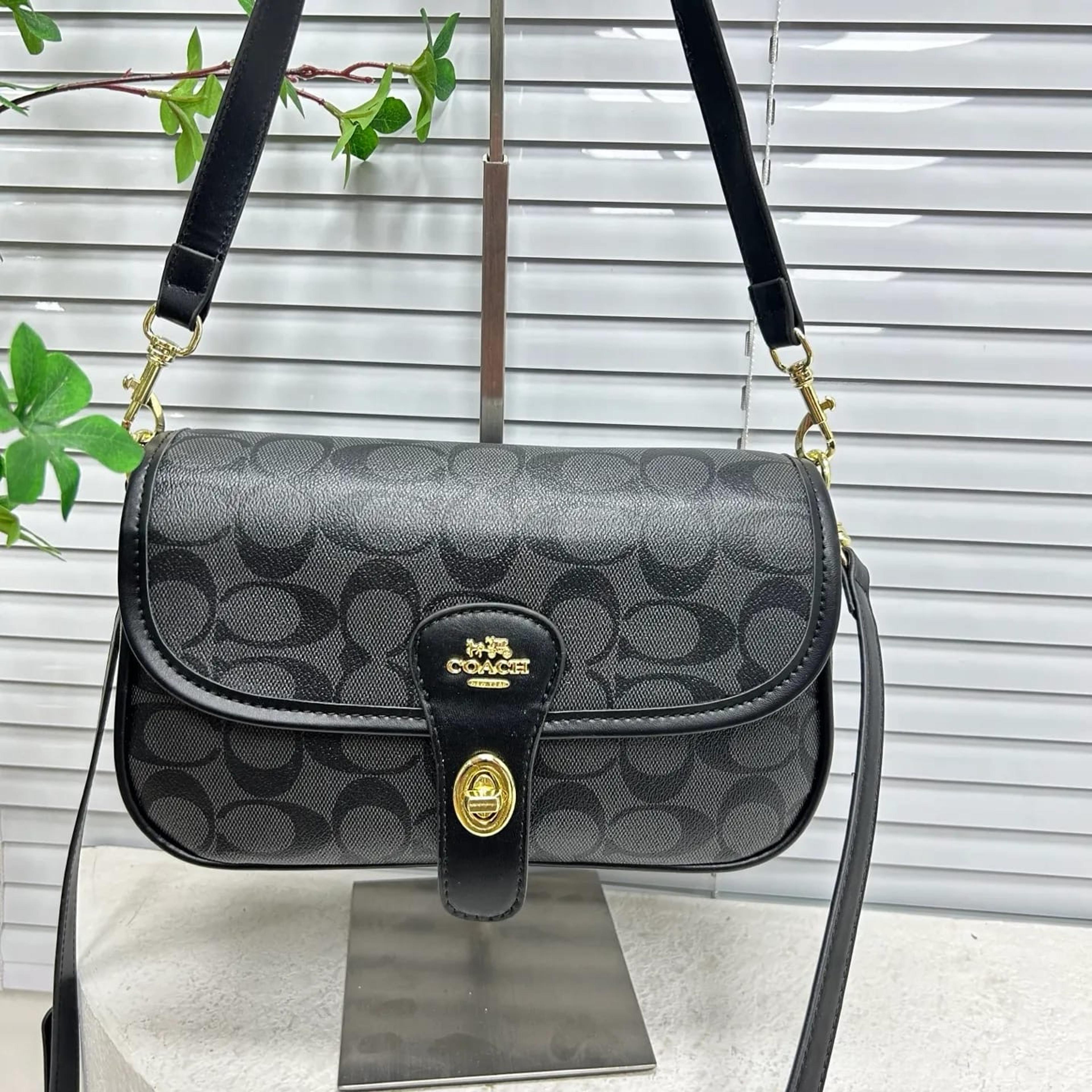 Cartera coach  vista 2