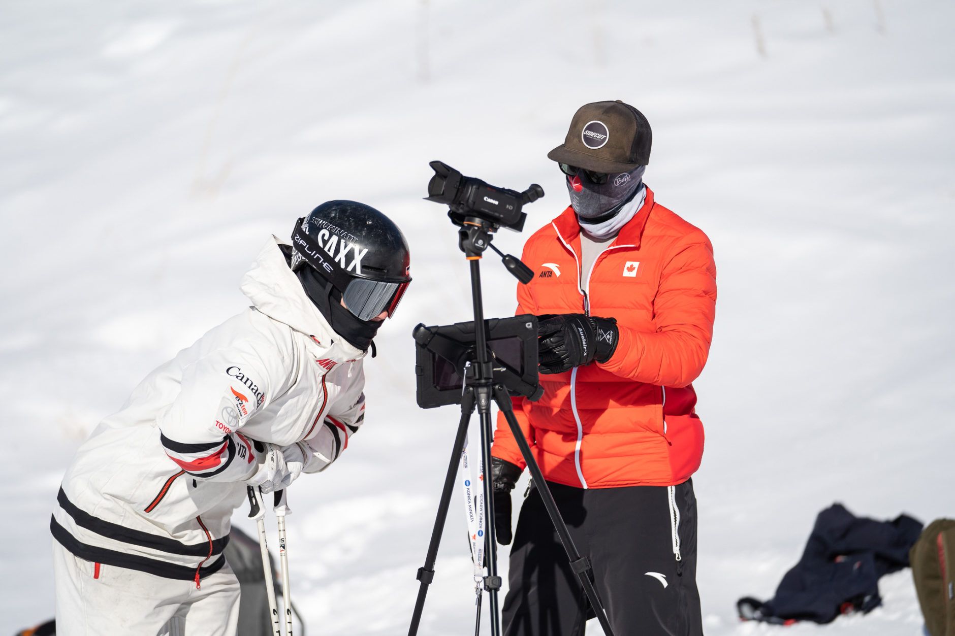 Membres Du Personnel