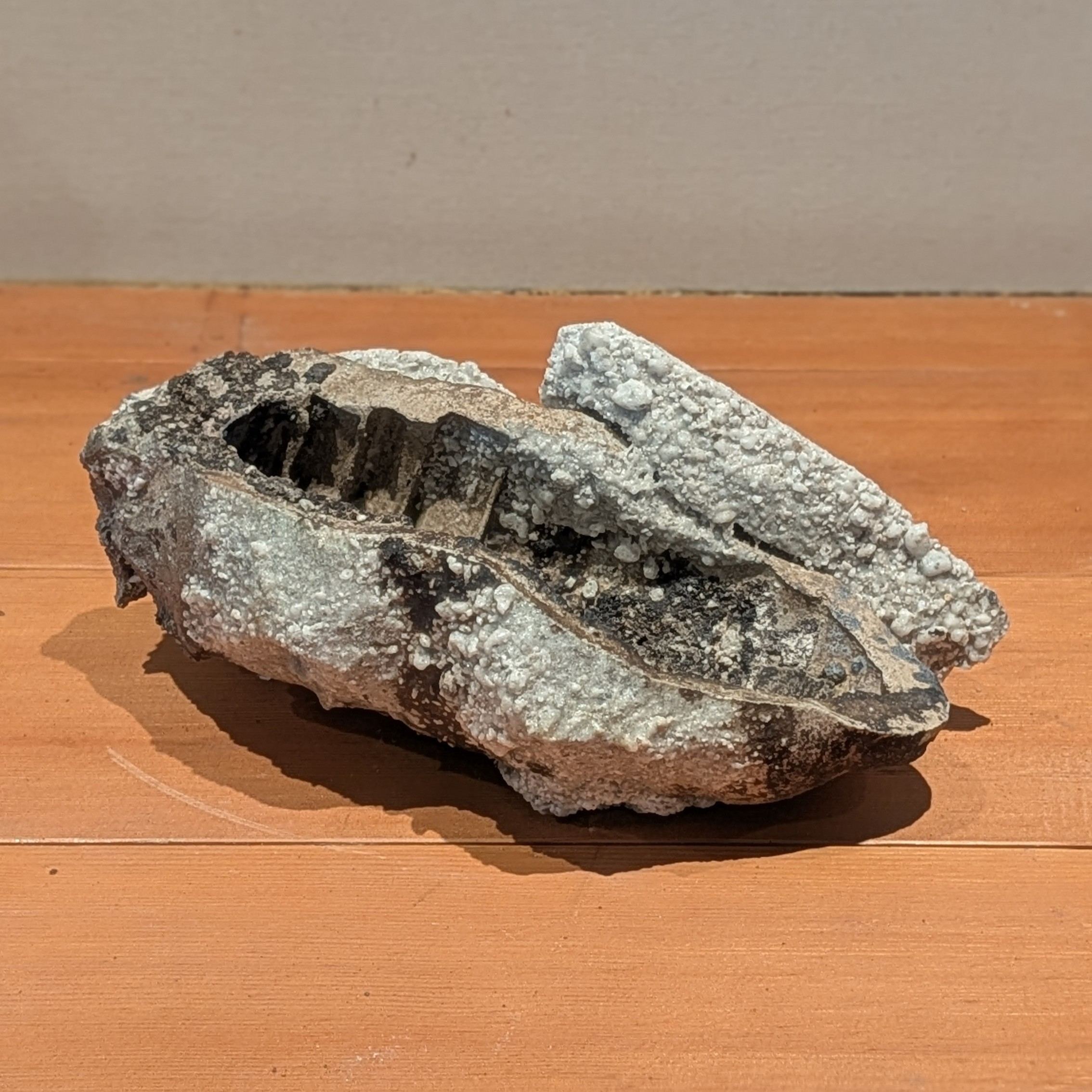 Takashi TANIMOTO Anaerobic