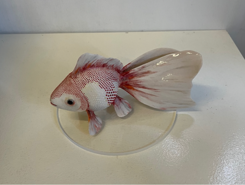 Manami Okayasu, Goldfish