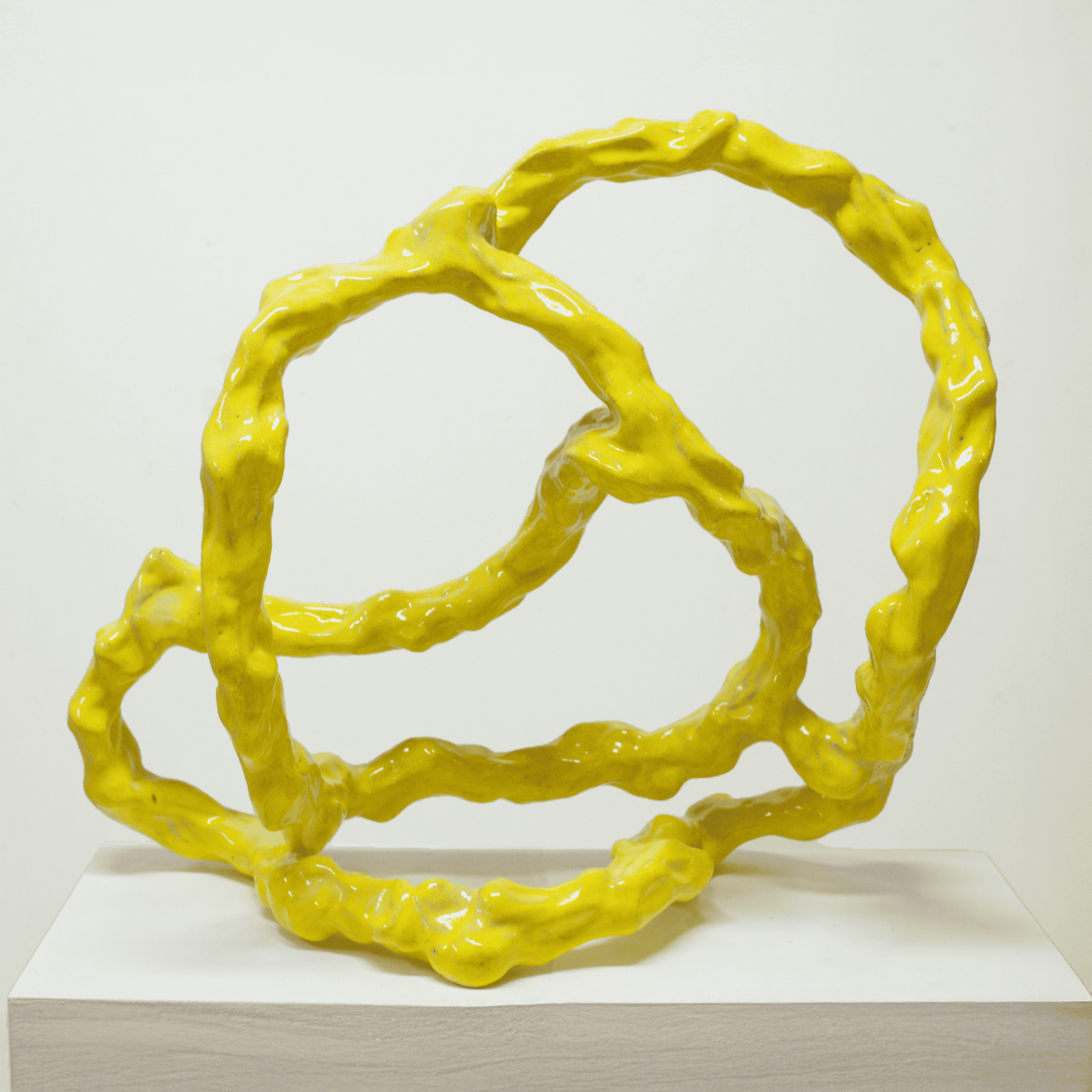 Manuel Barreiro Paparolo, Closed Soma, 2023