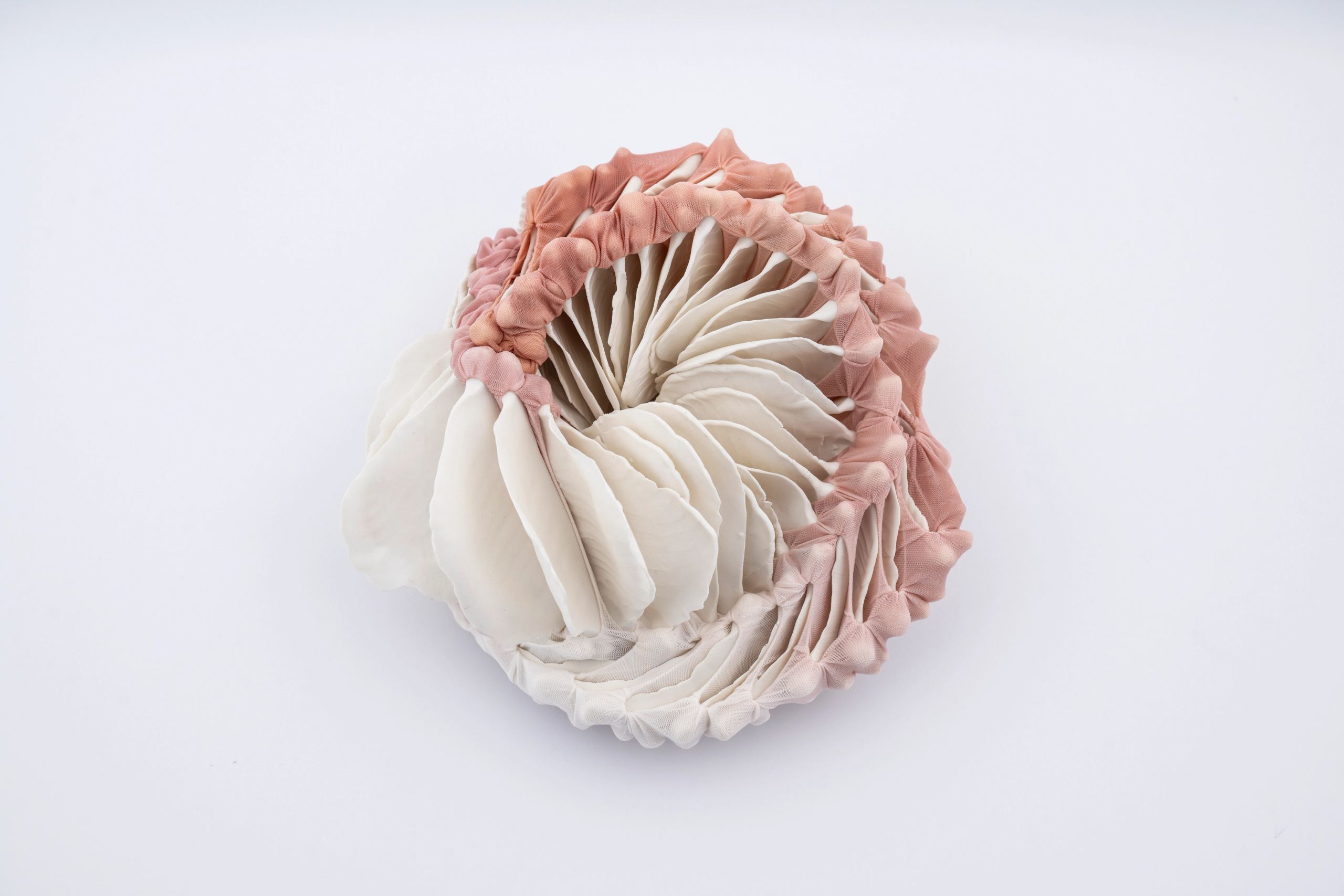 DanielaBergschneider_Enclosed_2025