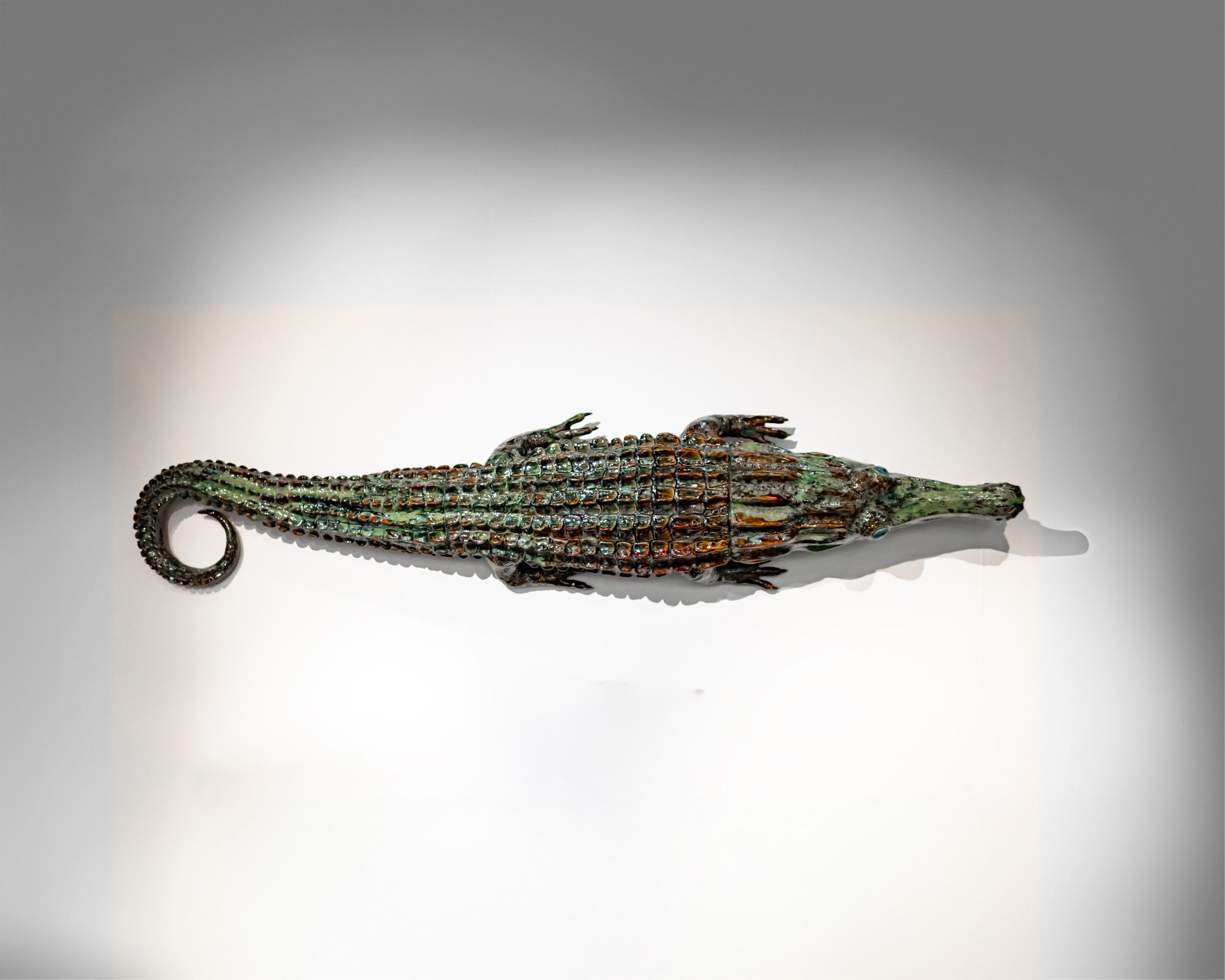 Onno Theelen, Wunderkammer Crocodile, 2024
