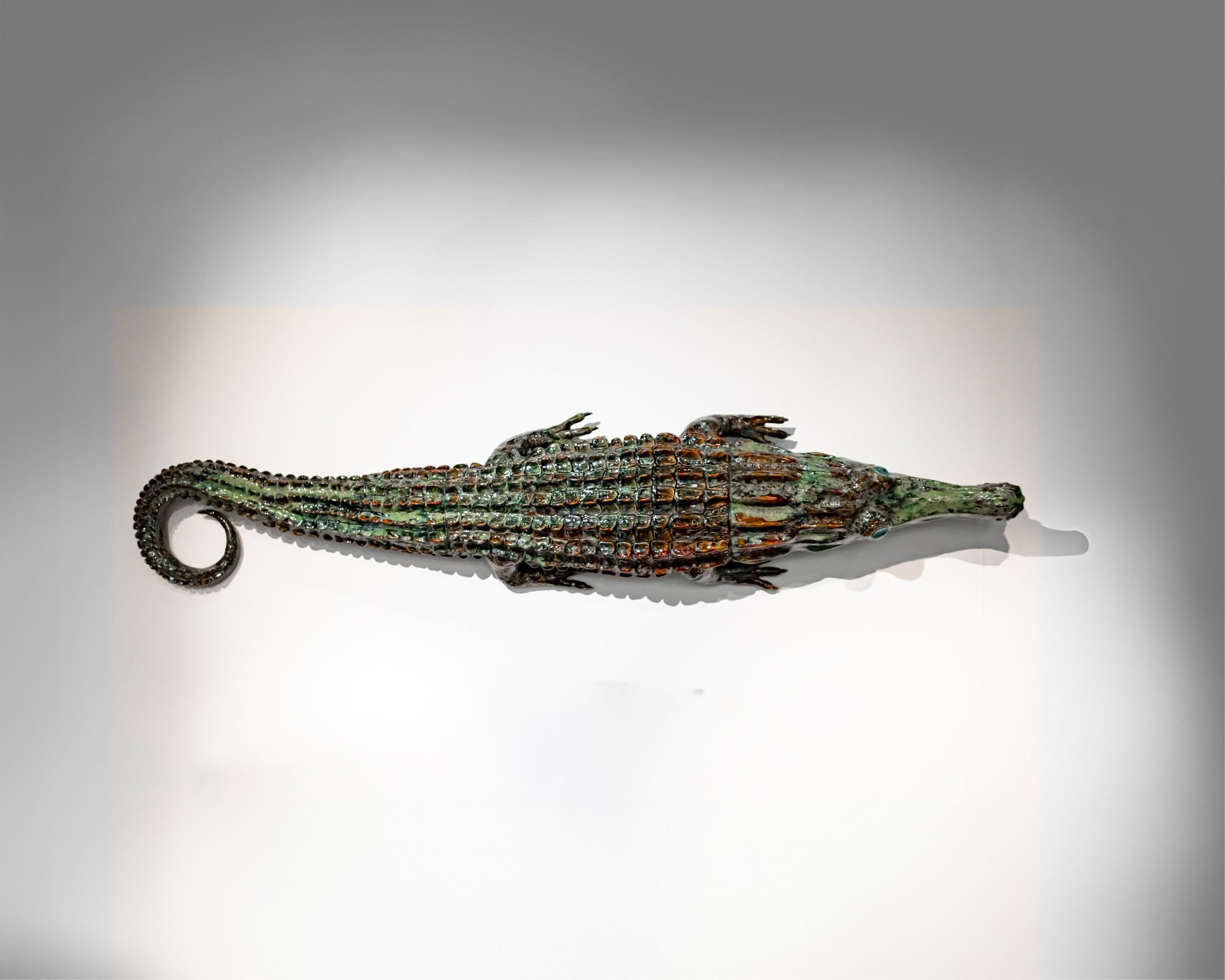 Onno Theelen, Wunderkammer Crocodile, 2024
