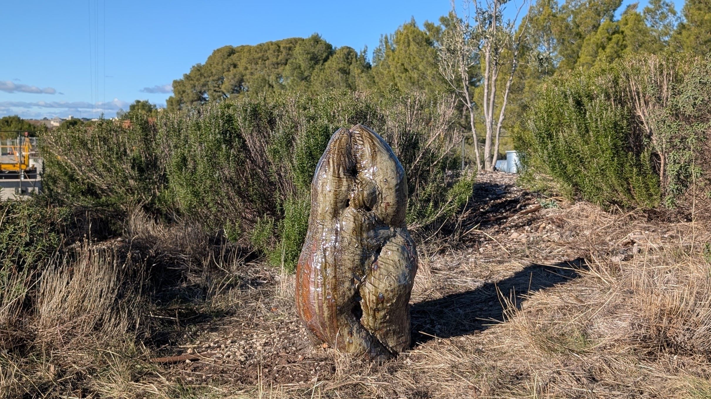 Île/Mer/Froid