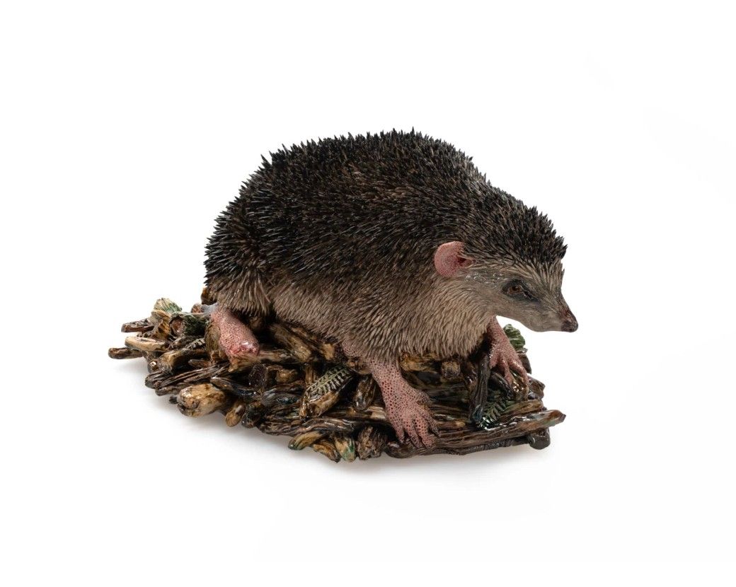 Carolein Smit, Hedgehog Harold, 2024